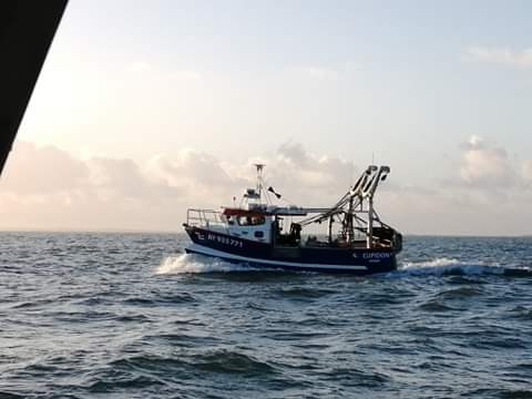 vue2_cupidon_2_en_peche Carène innovante développée par le chantier Plastimer bateau polyvalent Cupidon II